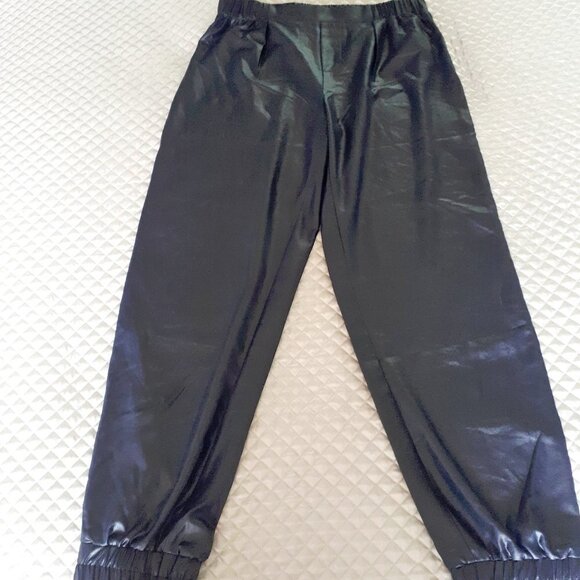 NWOT Current Air blue shiny finish relaxed jogger-like pants Size S - Picture 2 of 5